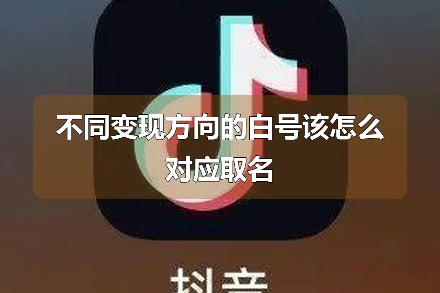 不同变现方向的白号该怎么对应取名