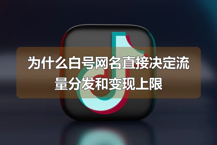 为什么白号网名直接决定流量分发和变现上限